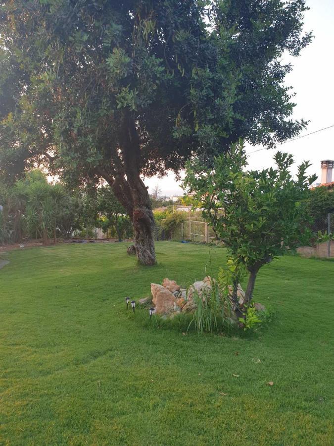 Silia Suites Malia Extérieur photo